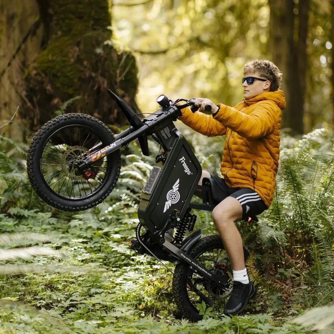Freego X1 SE Class 2 All-Terrain Electric Bike