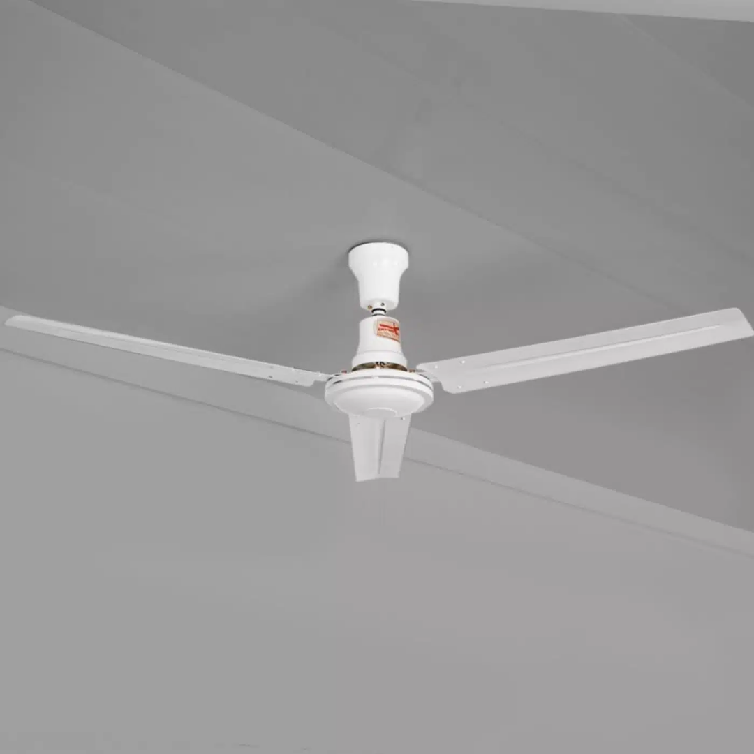 Bird in Hand 56″ Electric Ceiling Fan