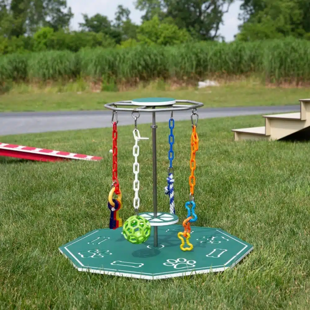 Bird in Hand Fidget Spinner | Dog Agility Equipment